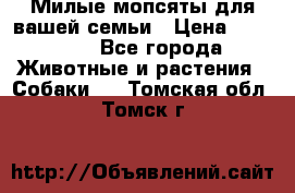 Милые мопсяты для вашей семьи › Цена ­ 20 000 - Все города Животные и растения » Собаки   . Томская обл.,Томск г.